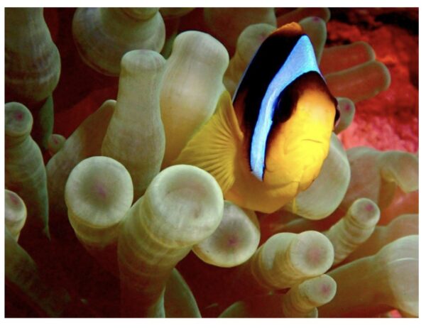 Photo Competition Winner