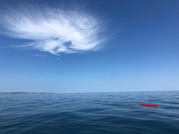 FLAT CALM SEAS AND SUNNY BLUE SKIES  – WEYMOUTH JULY 2021